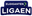 Elgiganten Ligaen