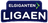 Elgiganten Ligaen