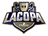 Liga de Videojuegos Profesional