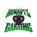 Black Hornets Gaming