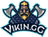 ViKin.gg
