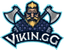 ViKin.gg