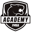 FURIA Academy