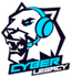 Cyber Legacy