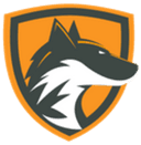 Team DeftFox
