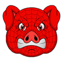 Spider Pigzs