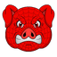 Spider Pigzs
