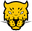 Jaguares