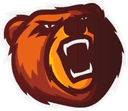 Bears