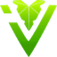 IVY