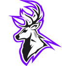 AURA E