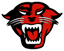Davenport University