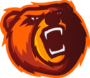 Bears Concept
