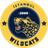 İstanbul Wildcats