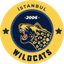 İstanbul Wildcats