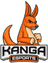 Kanga Esports