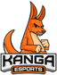Kanga Esports