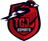 TGJ Esports