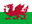 Team Wales