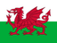 Team Wales