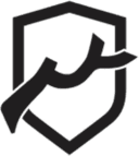 IB