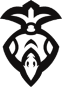 Falcons