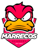 Marrecos Academy