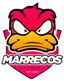 Marrecos Academy