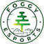 Foggy Esports