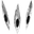 Ovoshi