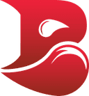 Bleed Esports