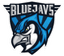 BLUEJAYS Lite