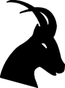regain