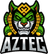 Team Aztec