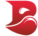 Bleed Esports