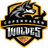 CPH Wolves Academy