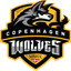 CPH Wolves Academy