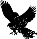 AIC
