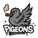 Pigeons