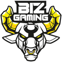 Biz Gaming