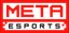 Meta Esports