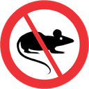 No Rats