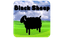 Black Sheep!