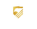 Polish Esport Cup